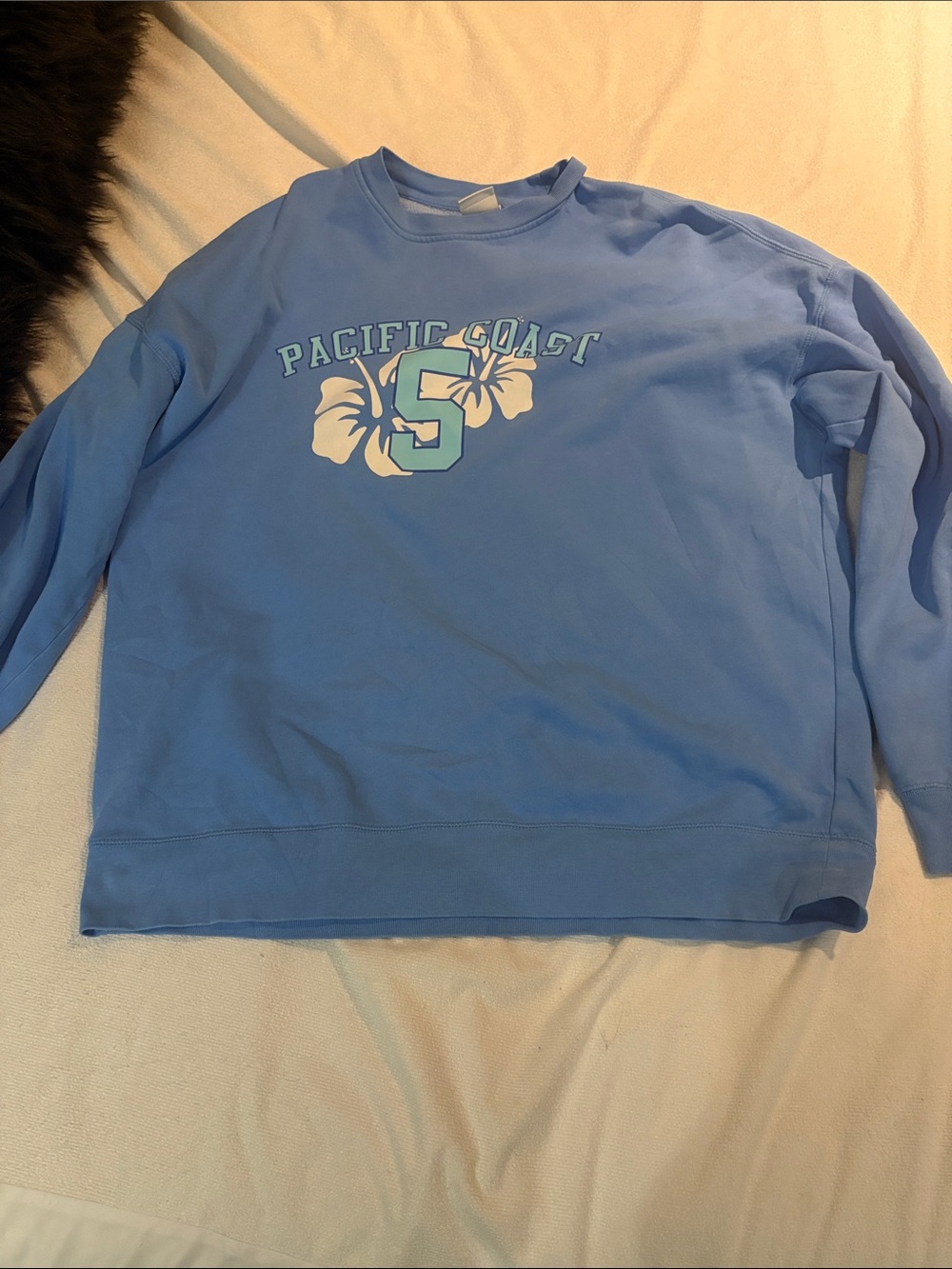 Harlow Light Blue Crewneck Sweatshirt with White Graphic